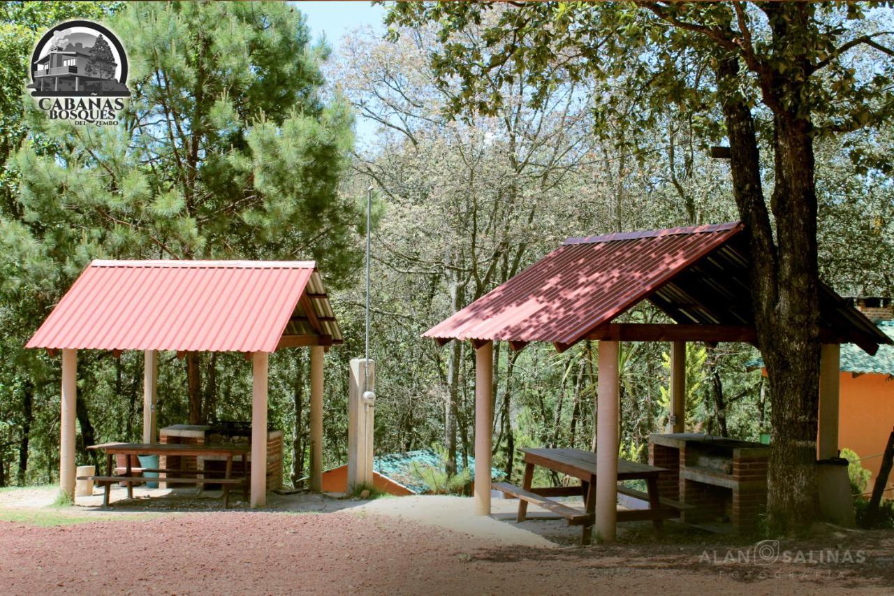 Cabañas Los Bosques del Zembo Huasca de Ocampo Exterior foto