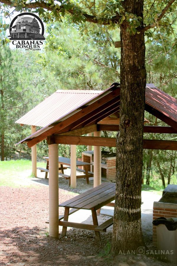 Cabañas Los Bosques del Zembo Huasca de Ocampo Exterior foto