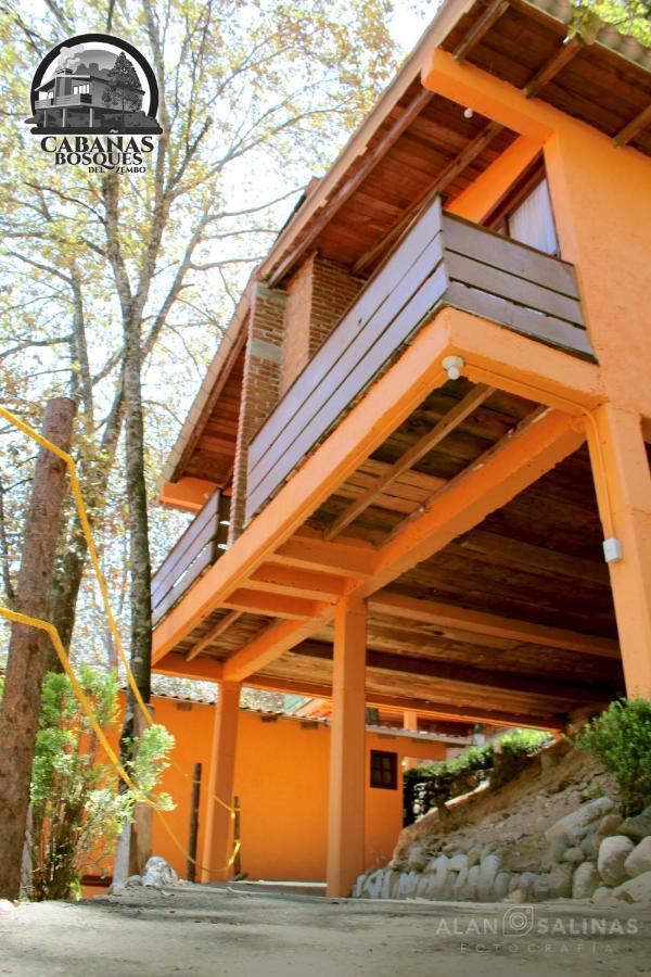 Cabañas Los Bosques del Zembo Huasca de Ocampo Exterior foto