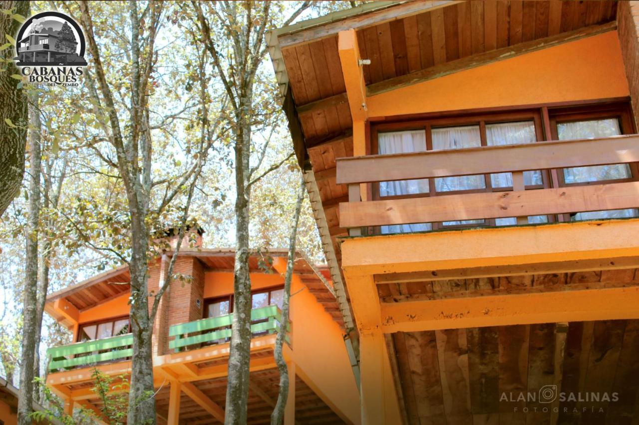 Cabañas Los Bosques del Zembo Huasca de Ocampo Exterior foto