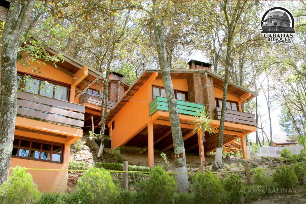 Cabañas Los Bosques del Zembo Huasca de Ocampo Exterior foto