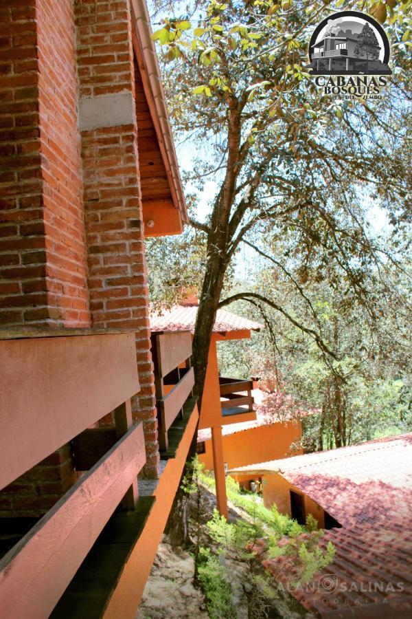 Cabañas Los Bosques del Zembo Huasca de Ocampo Exterior foto